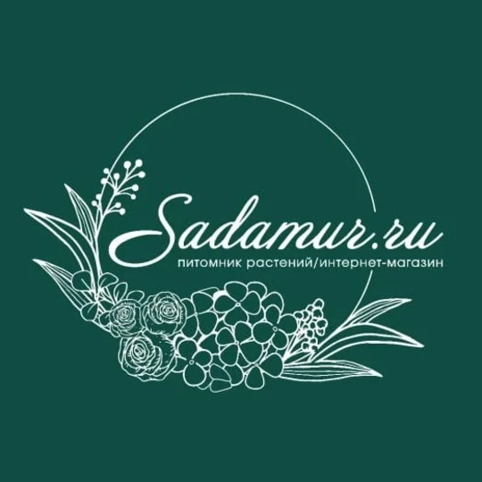 sadamur.ru